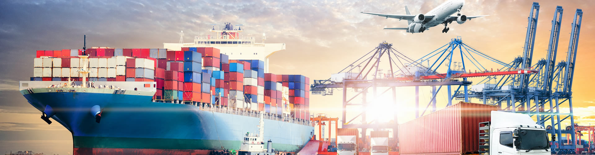 Empresa de Logística, Exportação