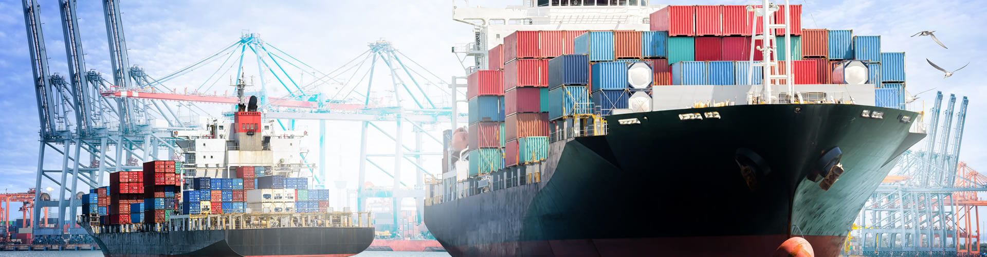 Serviços de Logística, Importação